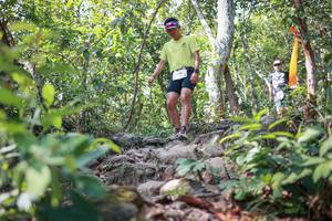 BIB: 
                            <button type="button" onclick="openModal(27703687)" class="btn btn-primary btn-sm float-right btn-popup" data-toggle="modal" data-target=".modal-high-quality">
                        <i class="fas fa-shopping-cart"></i> Add to Cart
                    </button>
                                            <button type="button" onclick="isThisMe(27703687, true)" class="btn btn-success btn-sm float-right btn-popup btn-isme hidden" data-toggle="tooltip" data-placement="bottom" title="นี่คือรูปของคุณใช่ไหม คลิกที่นี่เพื่อเอาเข้าอัลบั้ม">
                        <i class="fas fa-plus"></i> Add to album
                    </button>
                    <button type="button" onclick="isThisMe(27703687, false)" class="btn btn-warning btn-sm float-right btn-popup btn-isnotme hidden">
                        <i class="fas fa-ban"></i> Remove from album
                    </button>